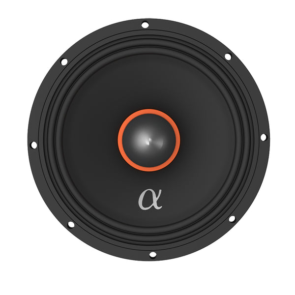 ABM65 Midrange Speaker Pair