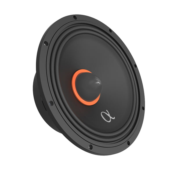 ABM65 Midrange Speaker Pair